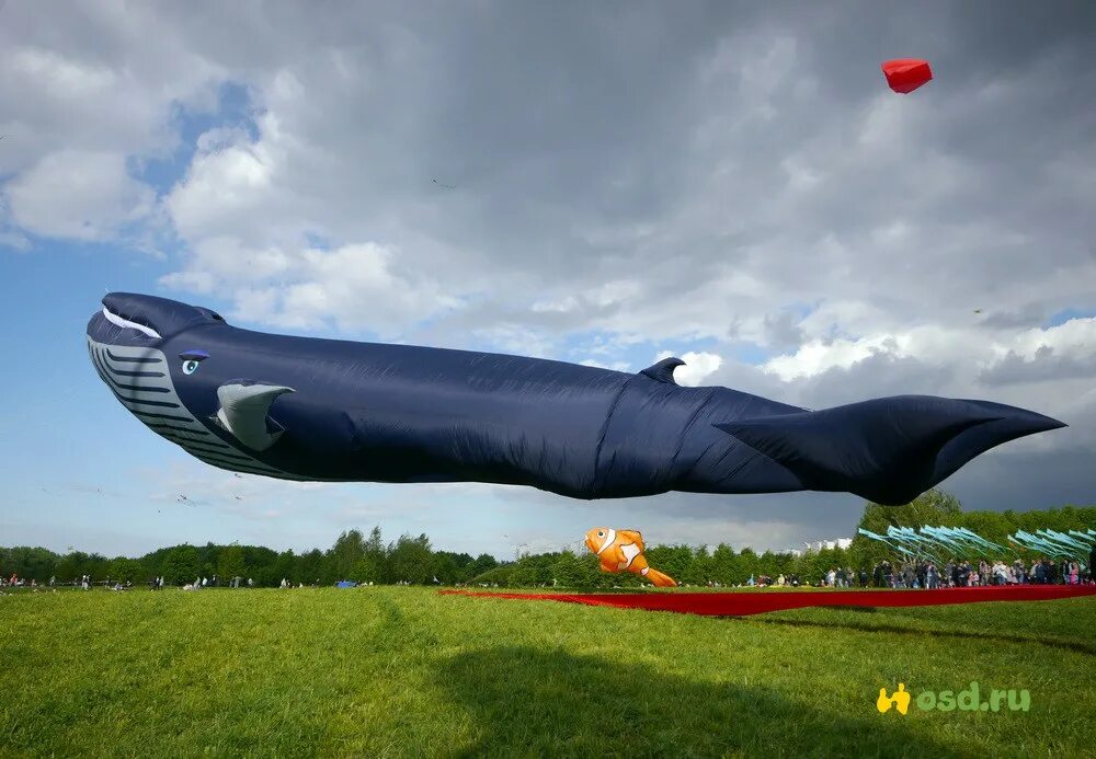 Пестрое небо. Самый балшойвоздушный змей. Самое большое воздушное. Самый большой воздушный змей в России.