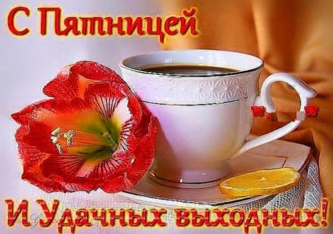 Добрый утро добрый день пятница. С добрым утром картинки красивые. стильные пожелания с добрым утром. приветствие с добрым утром. светлого утра и доброго дня.