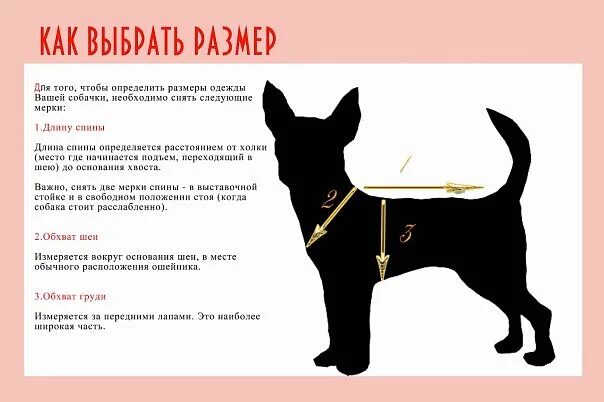 Как измерить собаку для одежды. Размерная сетка для собак мелких пород чихуахуа. размерная сетка одежды для собак той терьеров. таблица размеров одежды для собак мелких пород чихуахуа. размер одежды для собак чихуахуа стандарт.