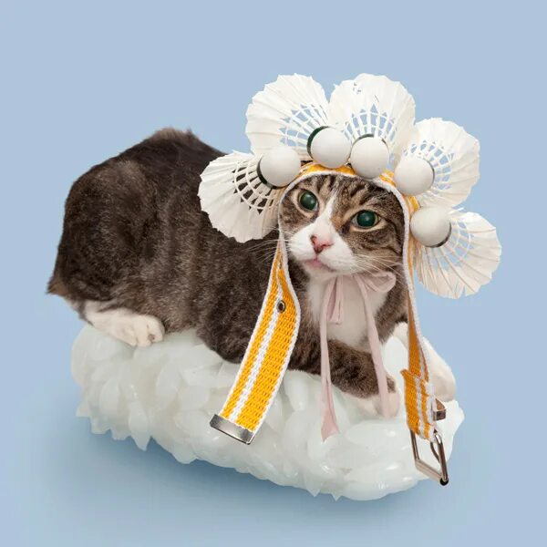 котик суши. котик суши. кошка и суши. веселые роллы. котик с едой.