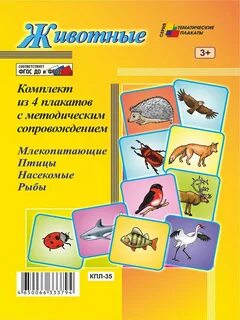 4 плаката