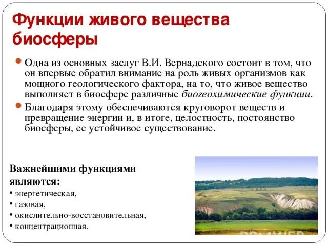 Функции вещества биосферы. Функции живого вещества в биосфере таблица. функции живого вещества в биосфере по вернадскому таблица. основные функции живого вещества в биосфере. функции живого вещества в биосфере по вернадскому.