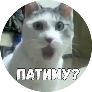 Сат патим дэхи