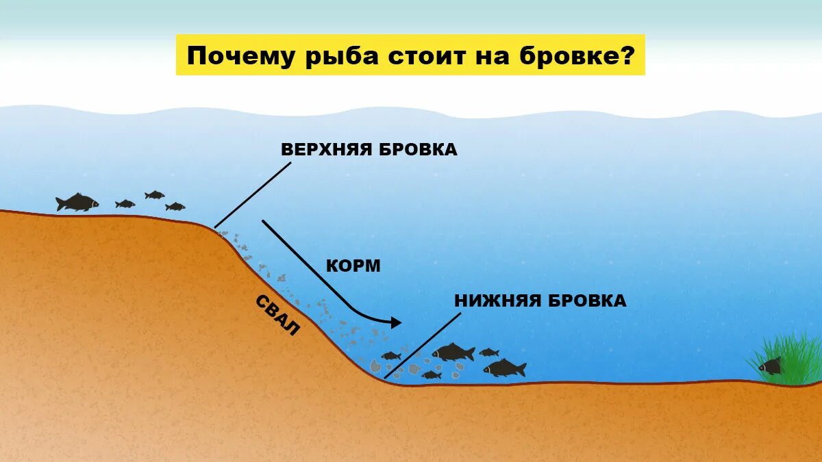 Русловая бровка реки. Бровка в водоеме что это. Рыба на бровке. Ловля на бровке. Места лова рыбы