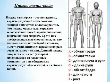 Индекс телосложения человека