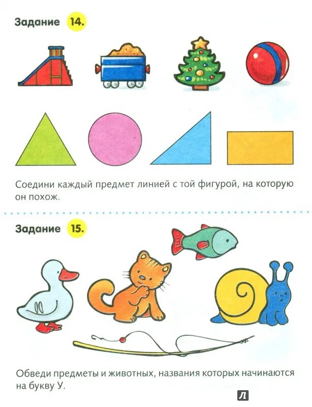 Сколько лет ежику задача. Сколько лет ежику задача