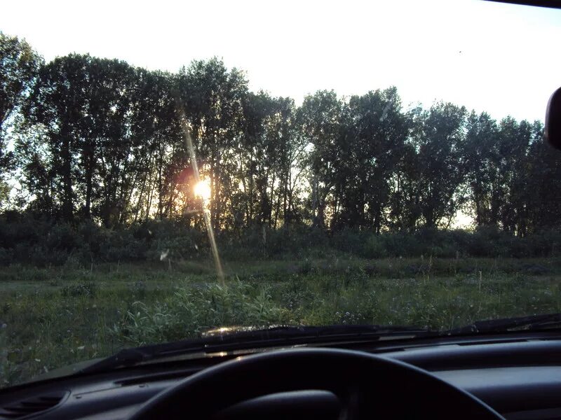 Скорость по деревне на машине. Вид из окна машины. Лес из окна машины. Лес из машины. Лес из окна машины ночью.