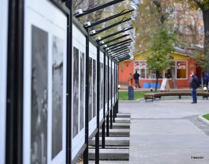 Сад баумана круглый стенд