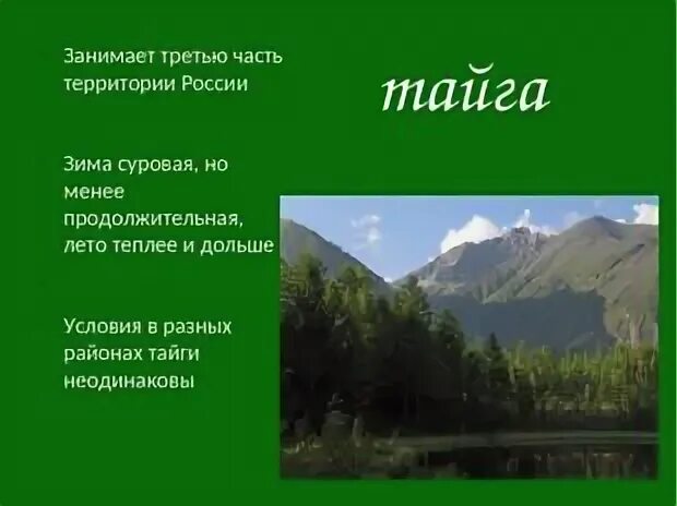 Тайга сообщение 4 класс по окружающему миру. Тайга презентация. презентация на тему тайга 4 класс. тайга для детей 4 класс. тайга проект по окружающему миру 4 класс.