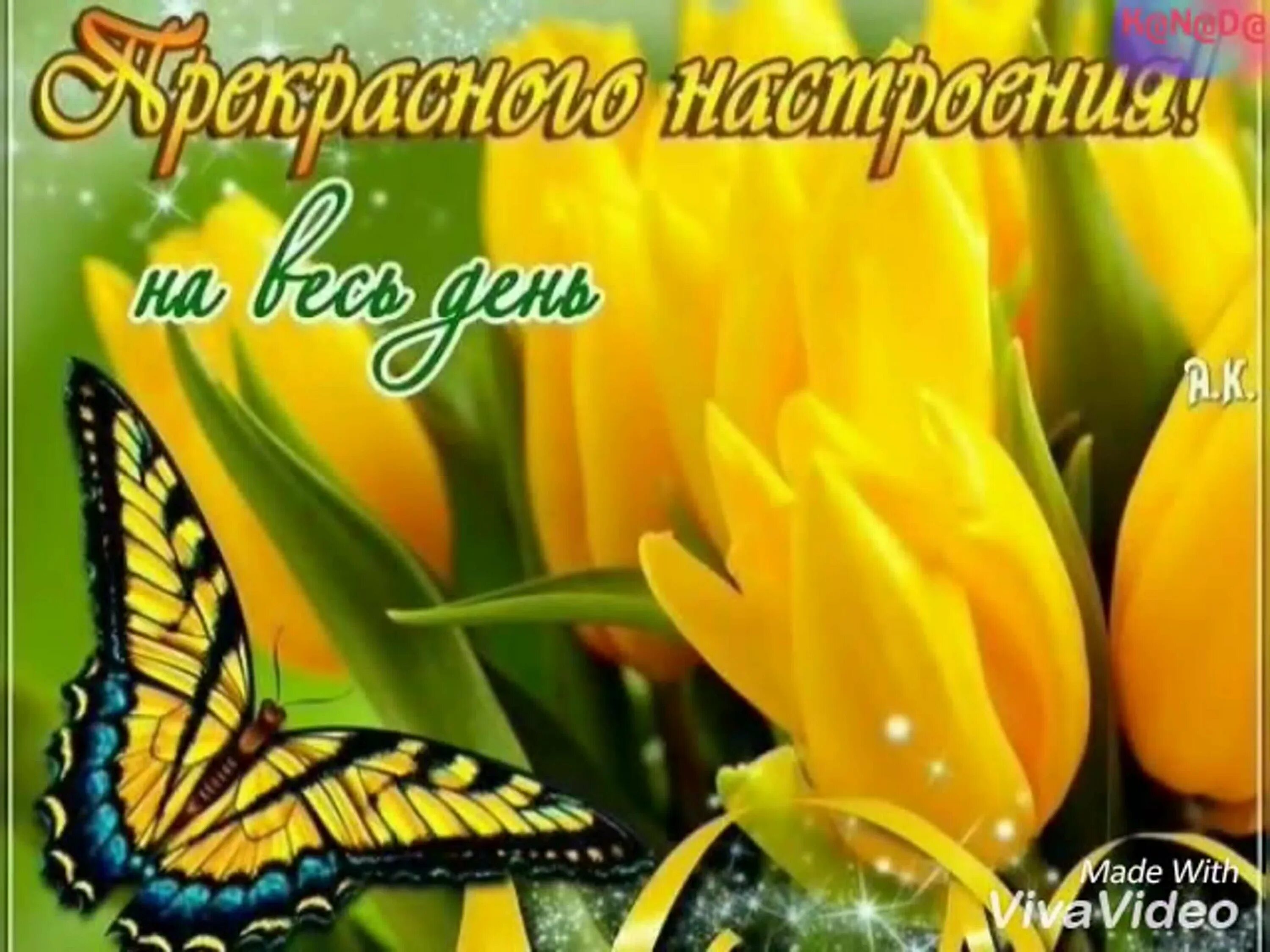 Солнечного настроения и удачного дня картинки. Яркого дня и хорошего настроения. открытки хорошего дня и отличного настроения. пожелания солнечного настроения. доброго солнечного дня и отличного настроения.