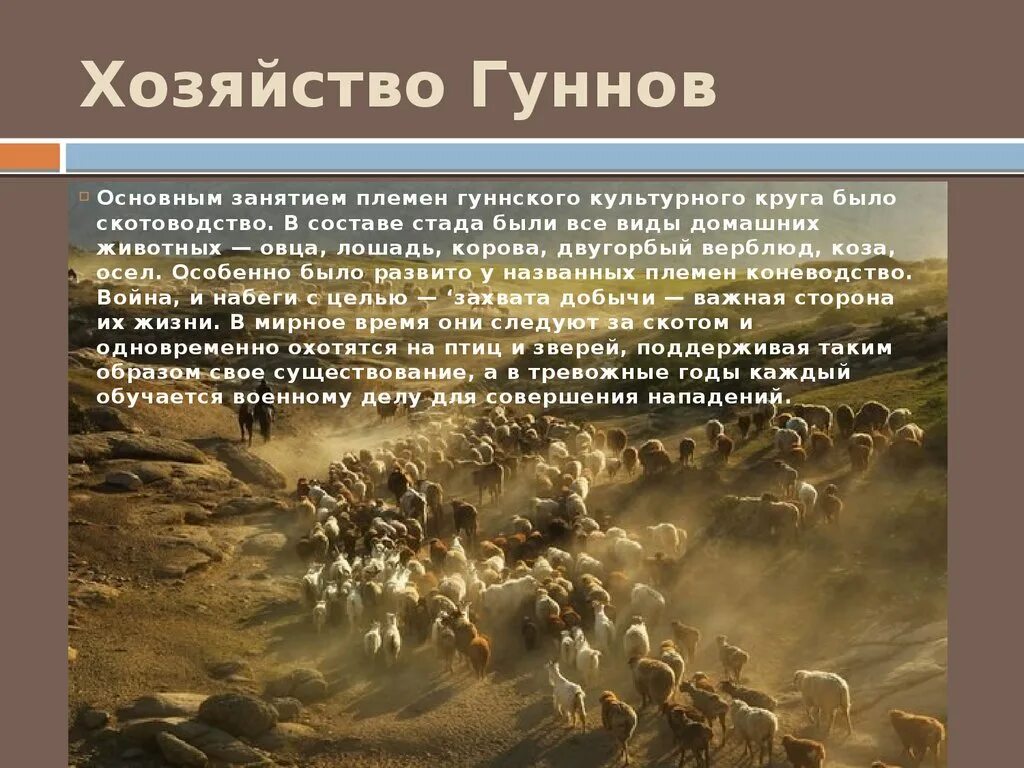 Гунны какой народ. Хозяйство гуннов. Гунны культура и быт. Гунны скотоводство. Хозяйство гуннов гуннов.