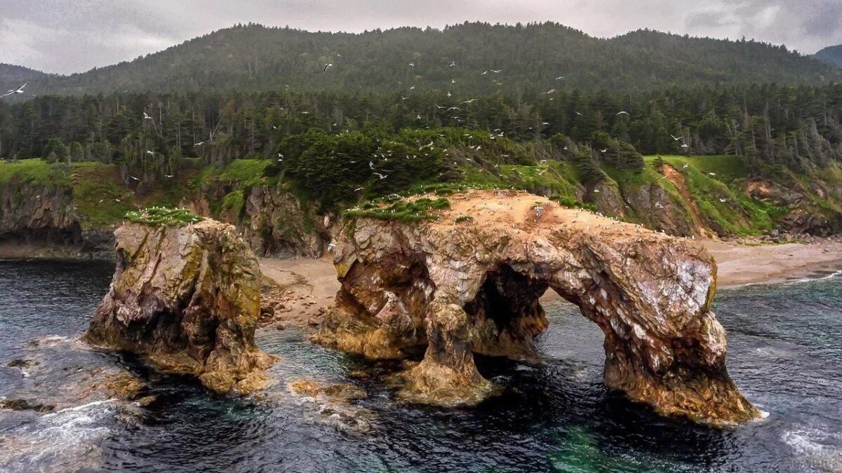 Природа сахалина бухта тихая. Мыс виндис сахалин. Мыс кузнецова сахалин. Мыс елизаветы полуостров шмидта. Бухта тихая сахалин.
