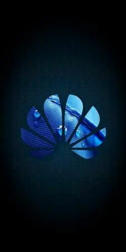 Хонор 9х. Обои Хуавей хонор 7. Huawei Honor logo. Хонор 50 экран. Экран телефона хонор 9а