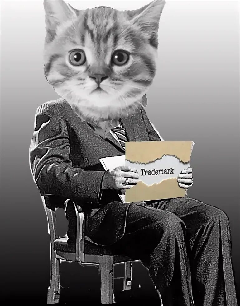 Cat edits. Cat edits