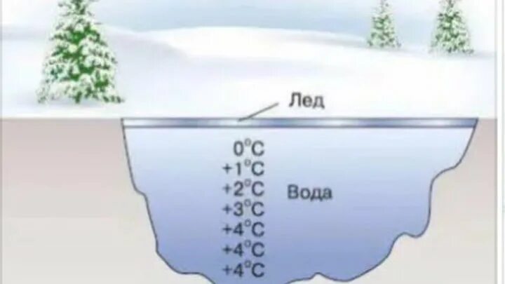 Почему зимой вода теплее