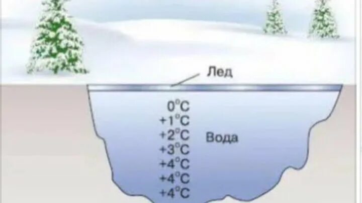 Термическое расширение воды. Процесс замерзания воды в емкости. Промерзание воды. Расширение воды при замерзании. Температура воды в пруду