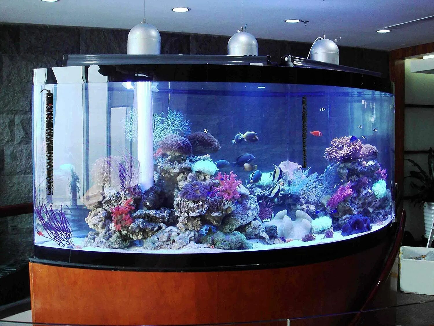 Аквариум магико мундо марино. Большие аквариумы. Океанариум в сингапуре s. Самый большой цилиндрический аквариум. Крупный аквариум.