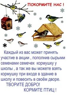 Акция покормите птиц зимой 2024