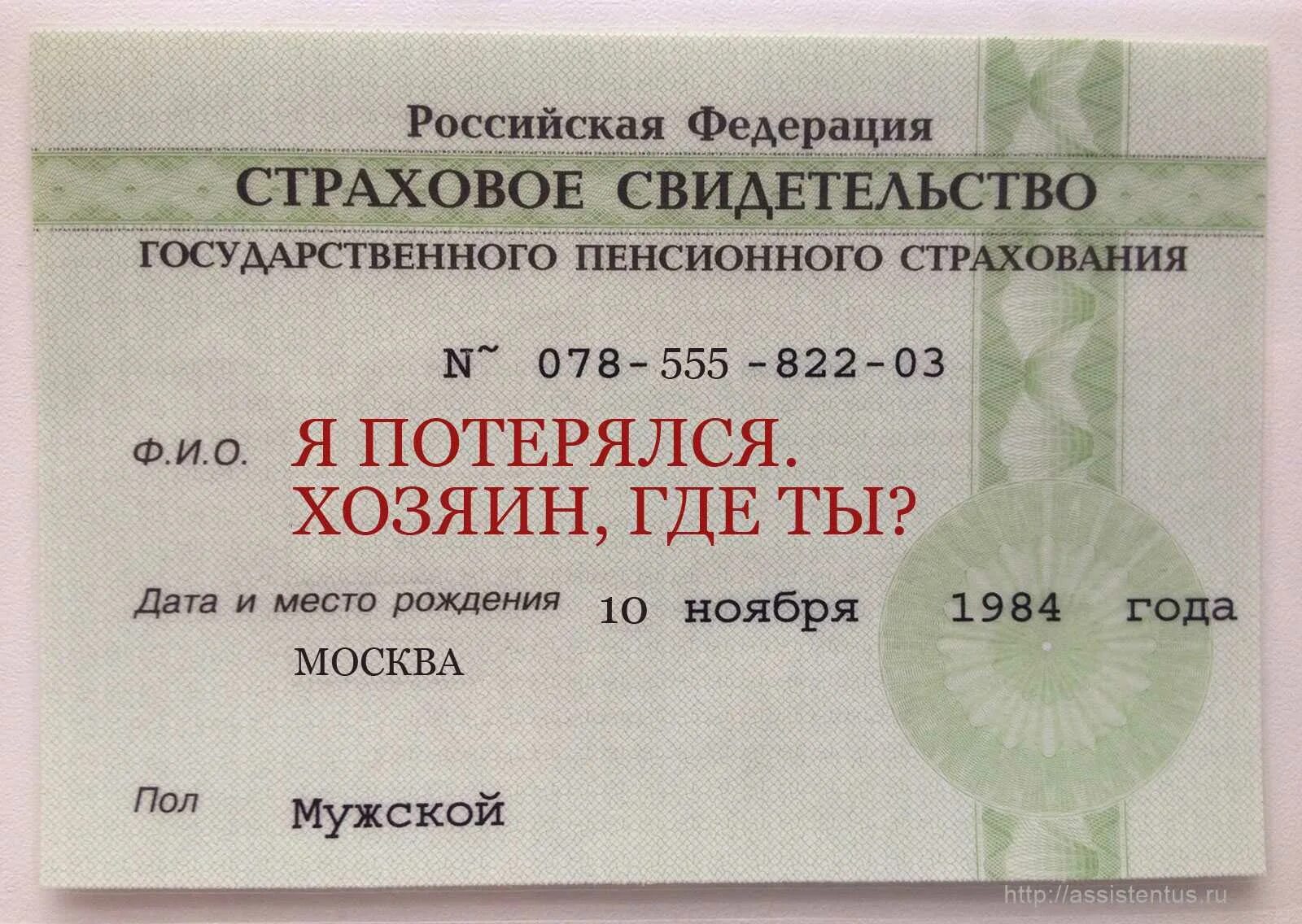 Страховой номер индивидуального лицевого счёта. Номер СНИЛС. Как выглядит СНИЛС. Смилс.