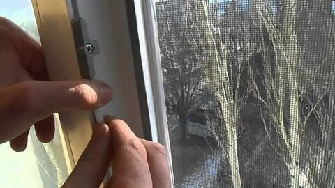 Сетка на окно видео