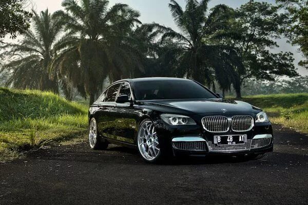 Bmw 7 тюнинг. BMW 7 Tuning. БМВ 7 тюнинг фото. БМВ 7 2013 тюнинг. Х7 тюнинг.