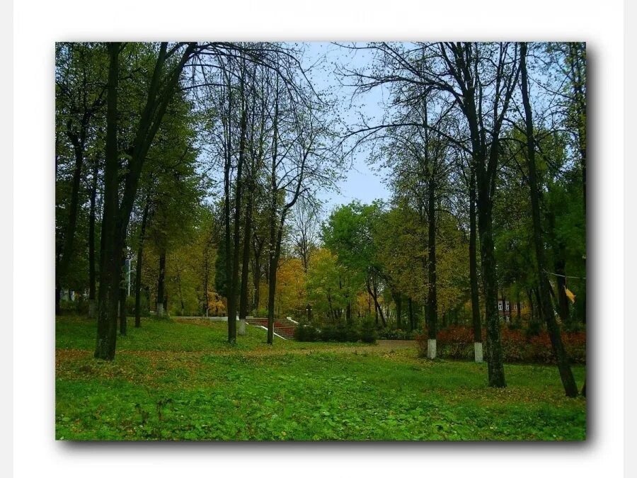 Парк боровичи. Боровичи город парк. Парк 30 летия октября боровичи. Парк 30 летия октября боровичи. Боровичи новгородская область.