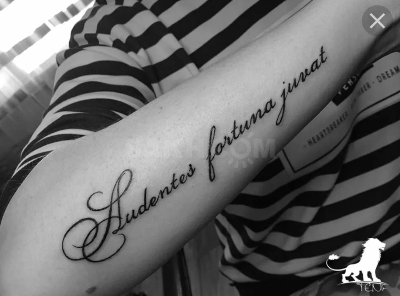 Audaces fortuna