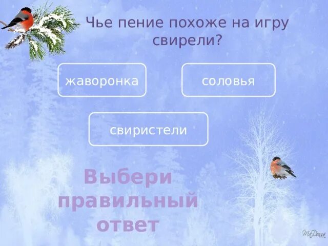 Викторины про зимующих птиц для детей.