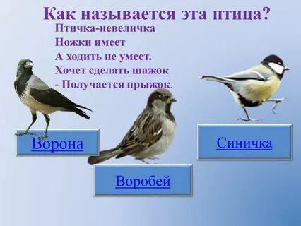 Как называется вот такой