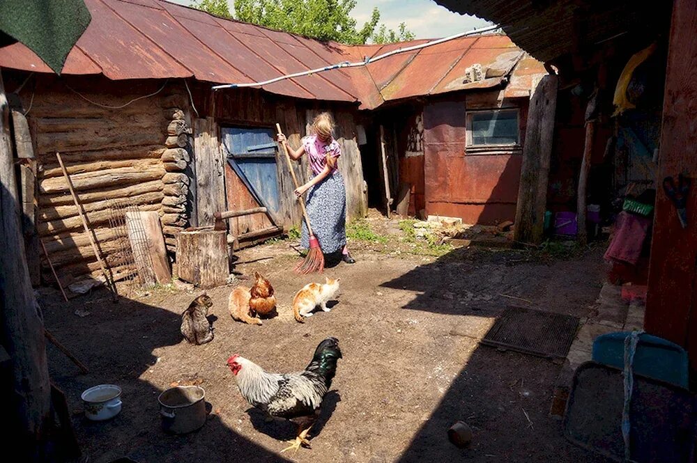 Сколько дворов в деревне. Двор в деревне. деревенский дом двор. задний двор в деревне. красивый деревенский двор.