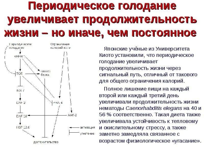 Периодическое голодание. Периодическое голодание схемы. Диета периодическое голодание. Периодическое голодание схемы 16/8.