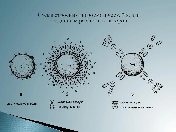 Особенности строения связанной воды. Гигроскопическая влажность. Гигроскопическая вода в почве. Гигроскопическая влага почвы. Максимальная гигроскопическая влажность.