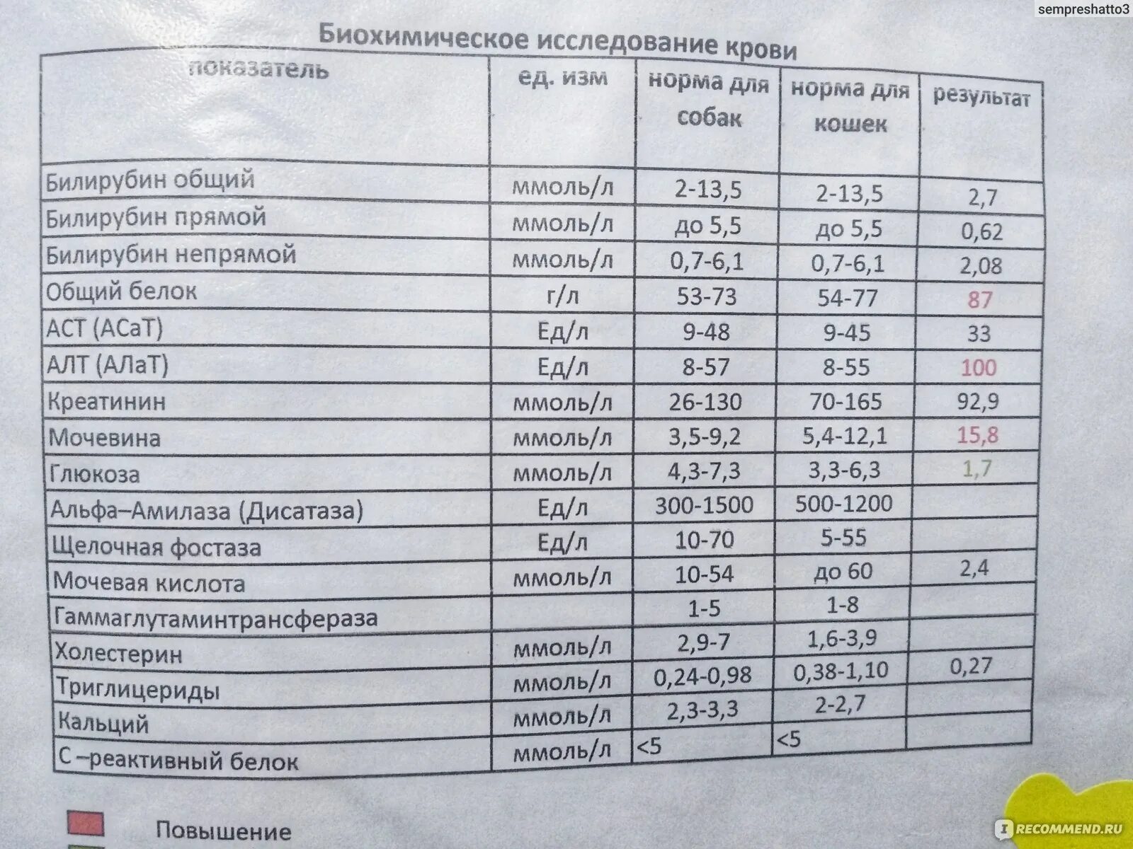 Биохимический анализ алт и аст повышены. Биохимия крови кошки. Нормы биохимии у кошек.