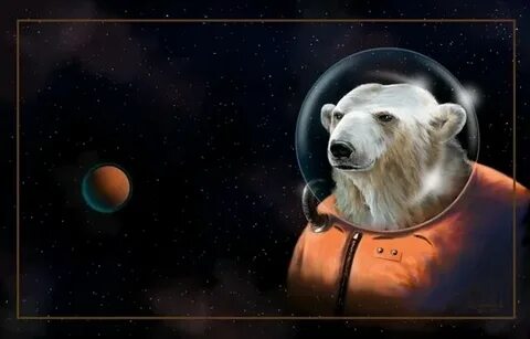 Медведь космонавт