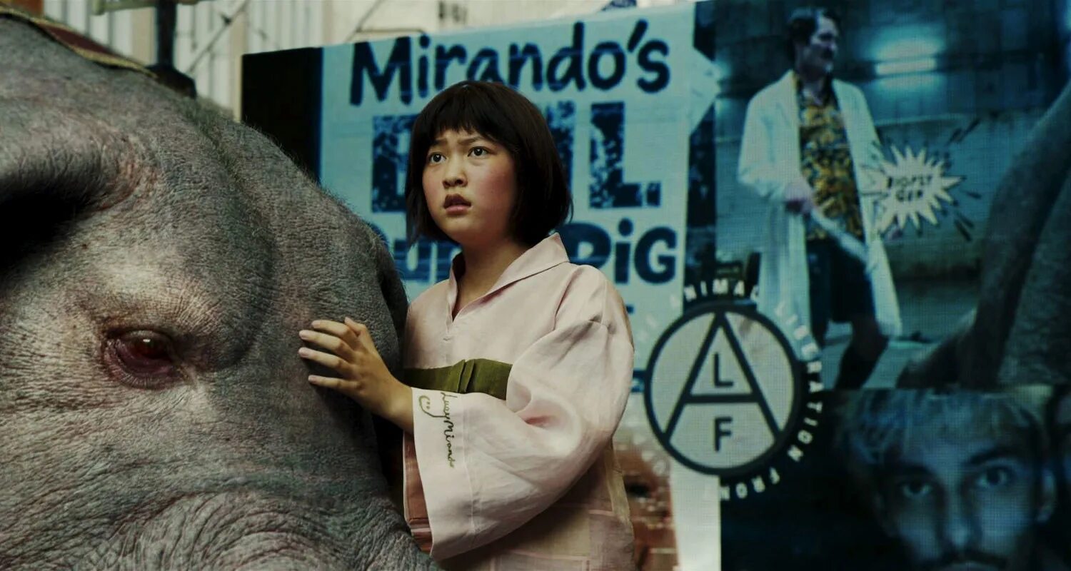 Гигантская свинья спасла девочке жизнь. Свиньи пати. Алиса как долго живут свиньи. Гигантская свинья спасла девочке жизнь. Мини пиг вырос.