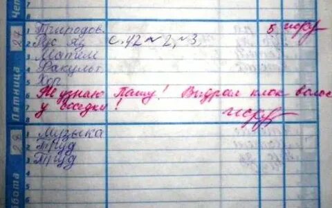 Приведенные замечания