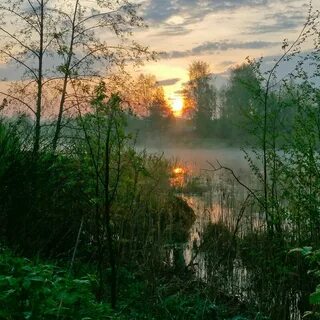 Раннее утро в самом разгаре