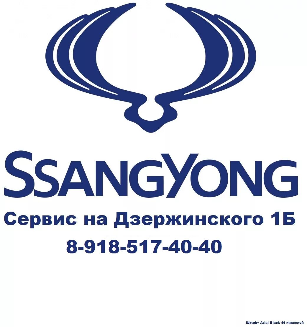 Обслуживание ssangyong. Ssangyong сервис. эмблема санг енг. машина ссангйонг значок. сервис санг енг в иваново.