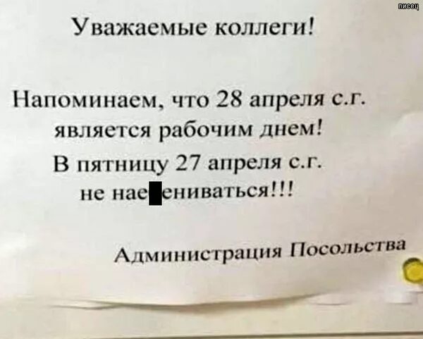 Уважаемые коллеги. Уважаемые коллеги напоминаю. Уважаемые коллеги сообщаю. Многоуважаемые коллеги.