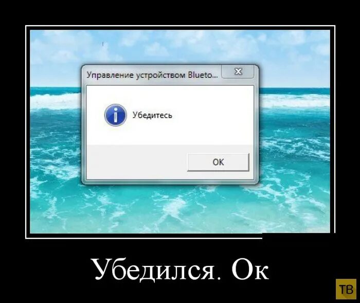 Сайт и убедиться в