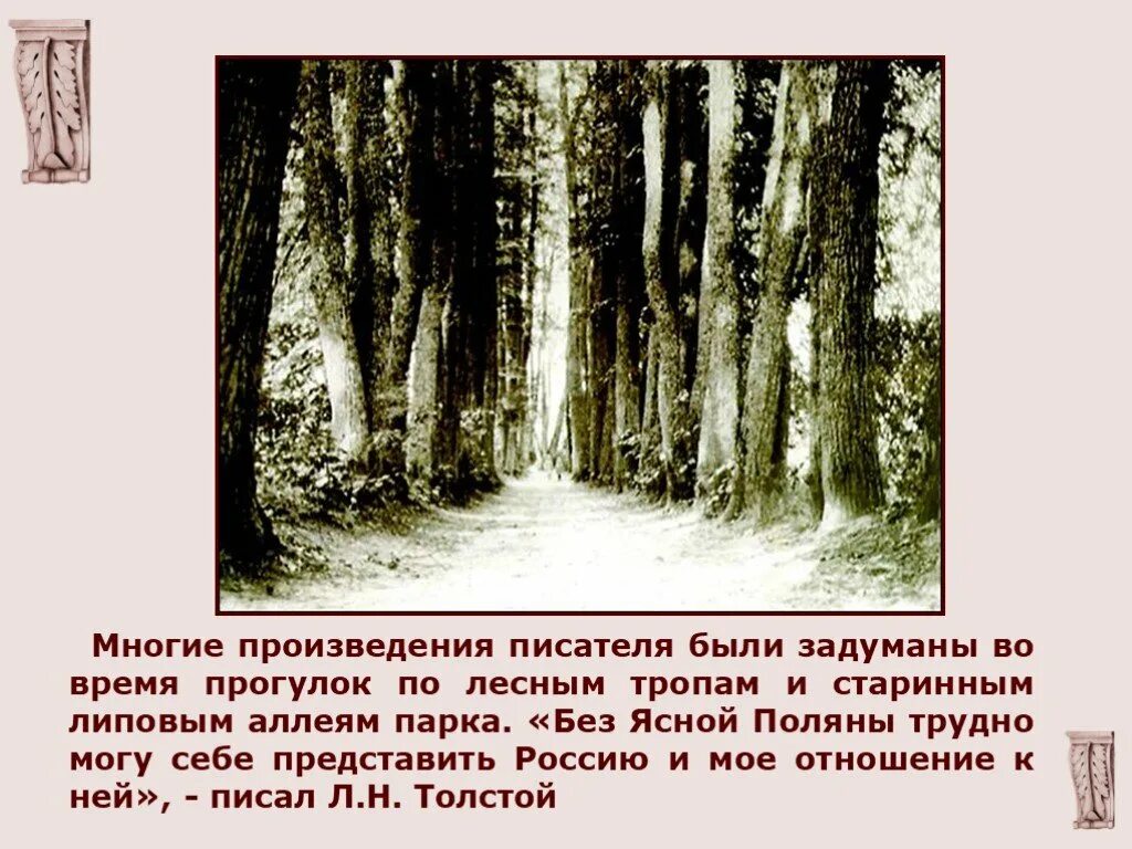 Аллеи липовые стихотворения. Стихотворение о Липовой аллее. Во многих произведениях