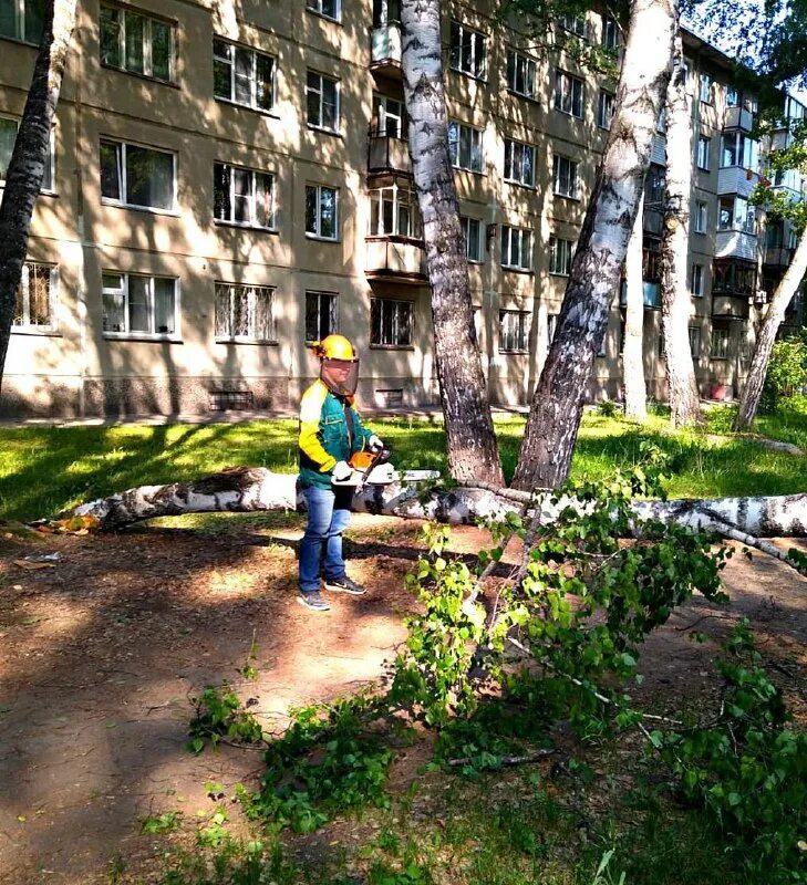 придомовая территория киевская 133 симферополь. обследование прилегающей территории. обследование придомовой территории. обследование прилегающей территории. обследование прилегающей территории.