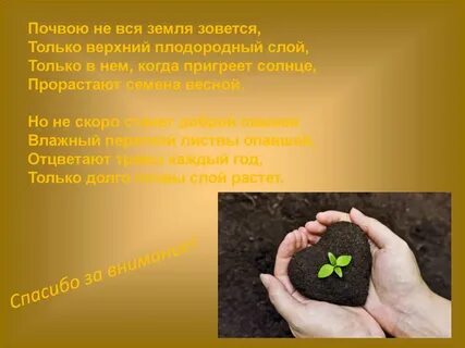 Почему земля кормит в подготовительной группе