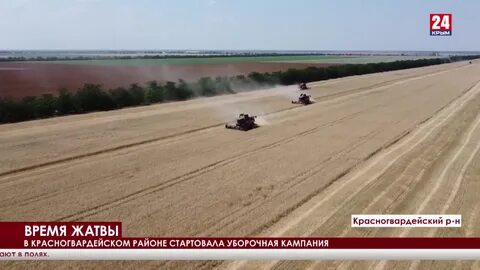 Красногвардейская зерновая