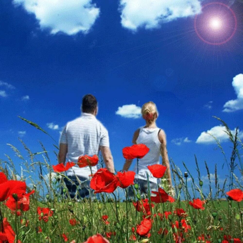 Мир люблю страна. Лето любовь счастье. Встреча с летом. Цветы в поле мужчина и женщина. Цветы солнце любовь.