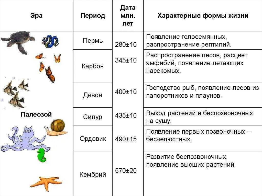 Эры планеты земля