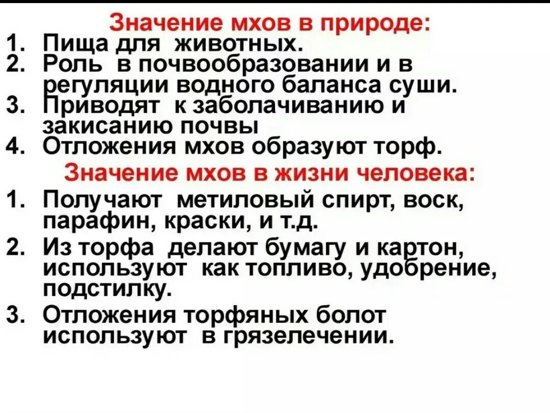Схема значение мхов 7 класс. Значение мхов в природе и жизни человека 7 класс кратко. значение моховидных в природе и жизни человека. значение мхов в природе.