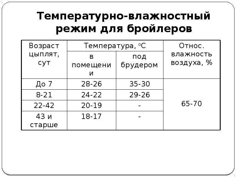 Температурный режим для цыплят бройлеров таблица. Температурный режим для цыплят бройлеров 1 месяц. Бройлеры выращивание таблица температуры. Тепловой режим для цыплят бройлеров таблица.