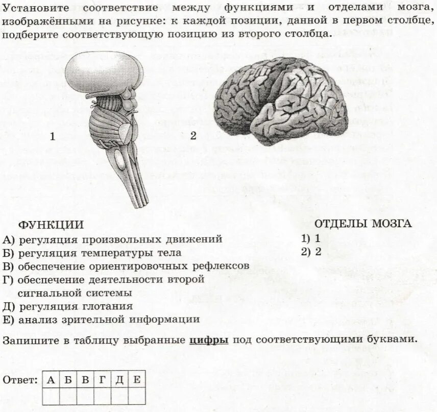 Задания ЕГЭ по биологии 2021. ЕГЭ биология задания. Вопросы ЕГЭ биология. Задания из ЕГЭ по биологии.