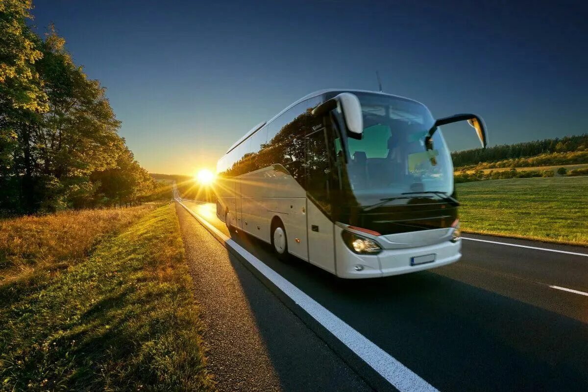 Комфортабельные дороги. Красивый автобус. Volvo fh 2021. Комфортабельные дороги. Дороги и автобусы.